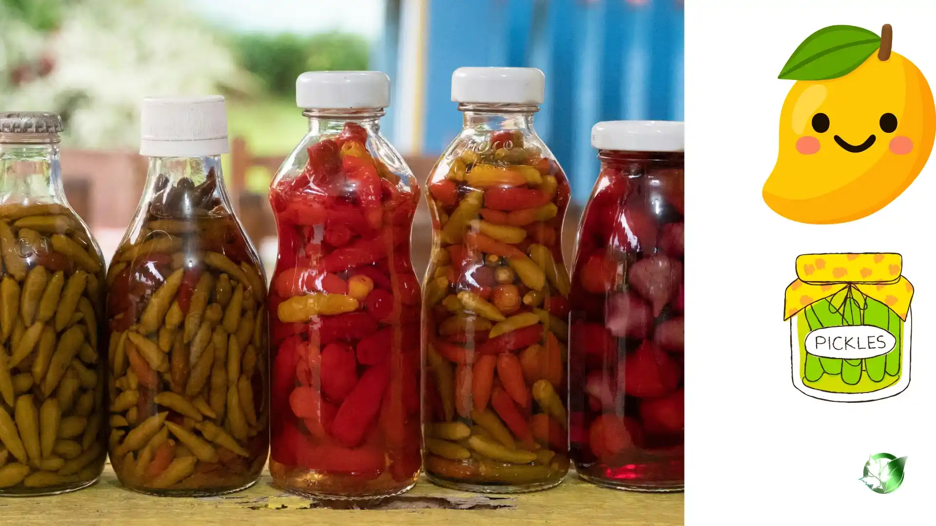 Pickled Mango quality, format, and packaging should be matched to the buyer’s target application.